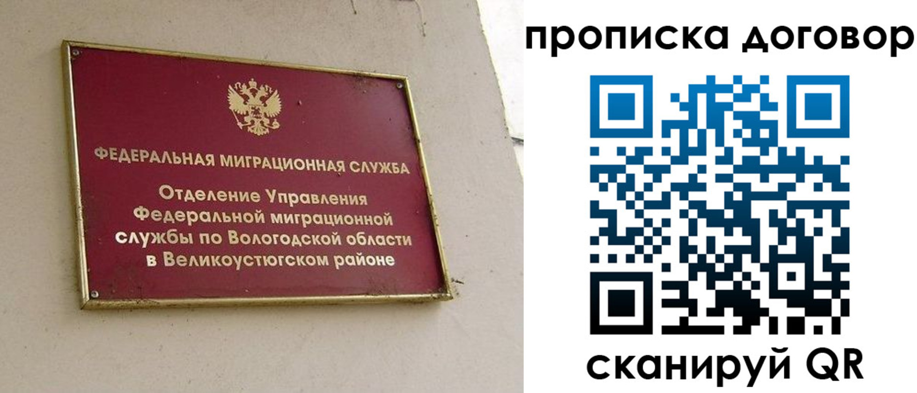 временная регистрация гарантия в Владимирской области